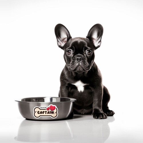 Kapitän Hund Name Vinyl Aufkleber Wasserdicht Autoaufkleber - Bild 2 von 4