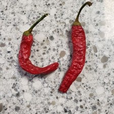 25  seeds Carolina Cayenne  hot pepper garden planting spicy food