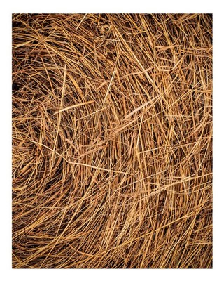 Naturinspirierte abstrakte Wandkunst rustikale Holztextur abstrakt Nat