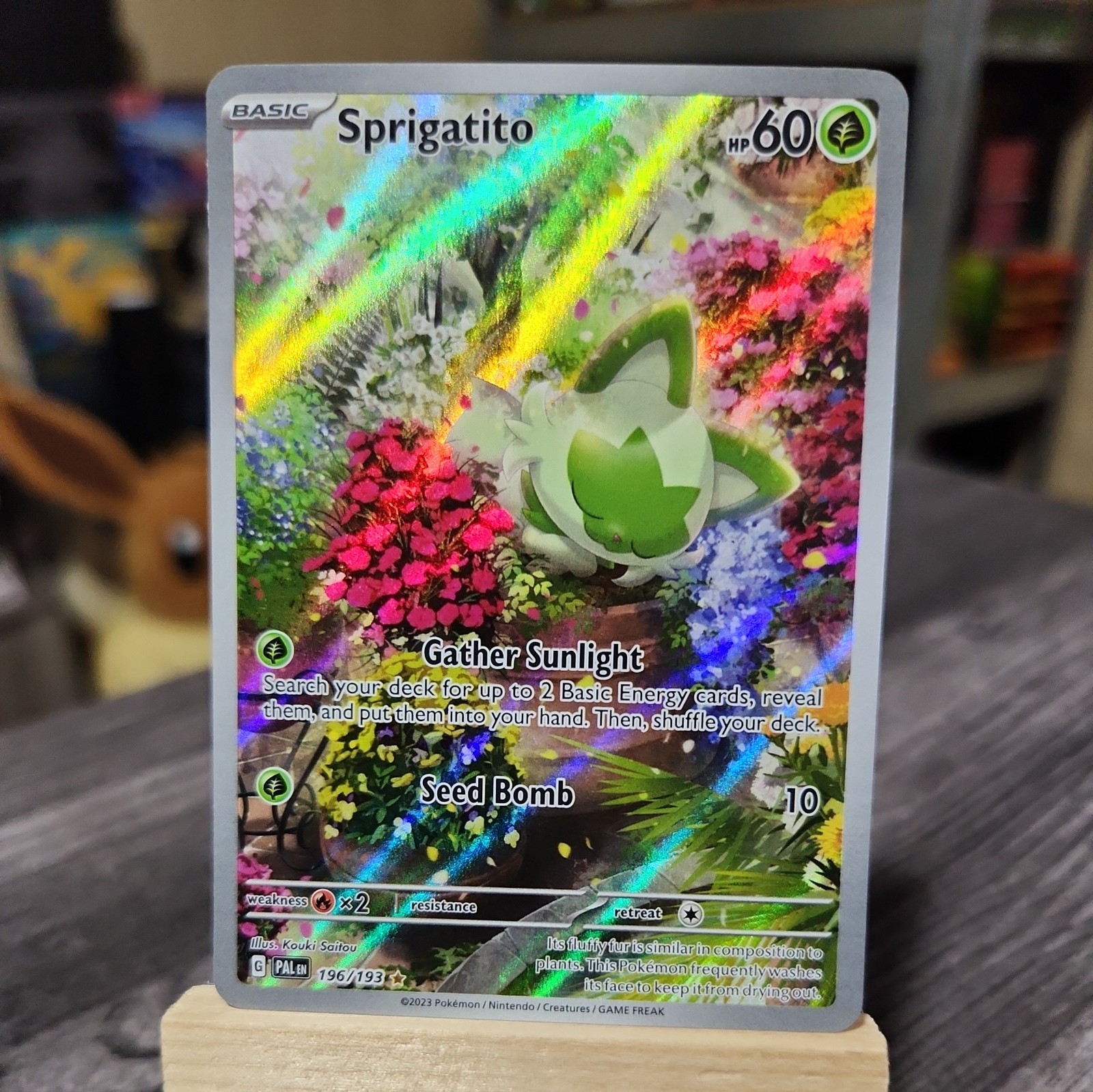 Paldea Evolved Sprigatito 196/193 Illustration Rare IR NM 2023 Pokemon TCG