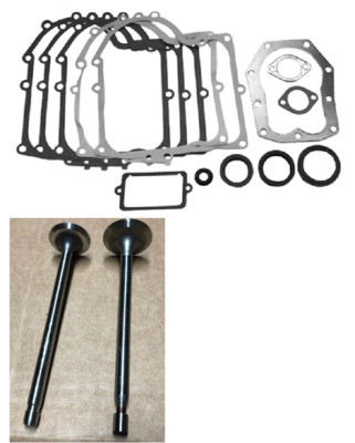 B&S Series 280000 INTAKE/EXHAUST VALVES/Gasket set 262247S,262246S,494241(-H51A)