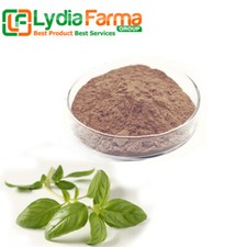 POWDER Holy Basil Sacred Basil Tulasi Tulsi Ocimum Sanctum Organic WildCrafted