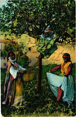 CPA AK ALGERIA LL 6168 Scenes et Types - Une Bonne Recolte (793232)