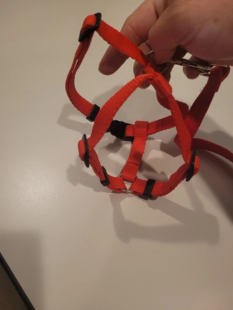 Dog Harness with leash / puppy Adjustable Step-In  / Sizes XS, S, to M / Red