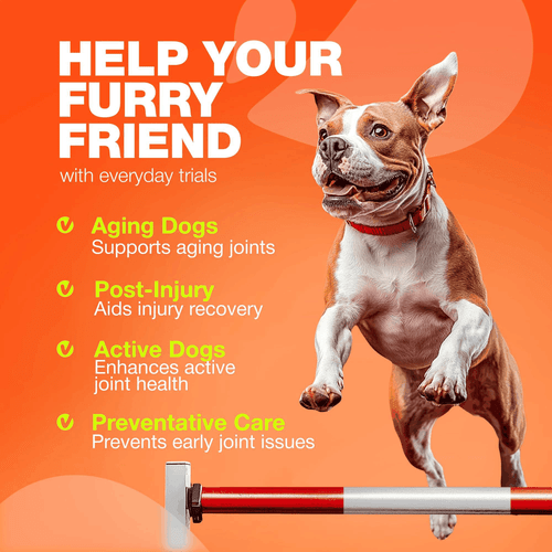 Glucosamine for Dogs Hip and Joint Supplement for Dogs Chondroitin Chews MSM - Bild 4 von 9