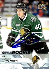 Antonio Stranges - Signed 2018-19 Upper Deck CHL Star Rookie Card #343