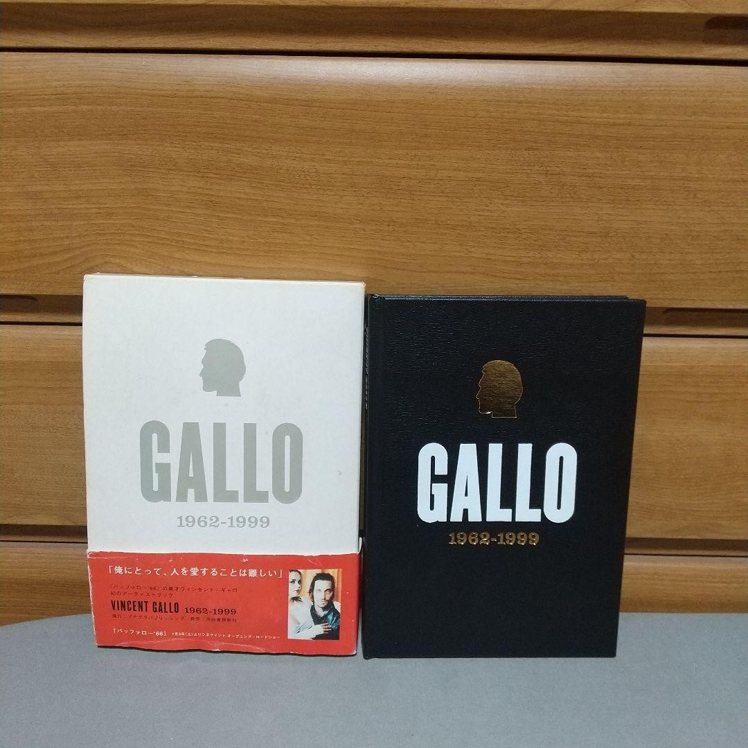 Vincent Gallo 1962-1999 Japanese Original Photo Book Limited