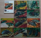 Lot 25 Russian PC Fly Card Insect Soviet Entomologist Beetle Bug Postcard USSR