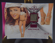 2013 Bench Warmer Gold Edition Pink Foil Shoe Memorabilia Maria Kanellis 14/25