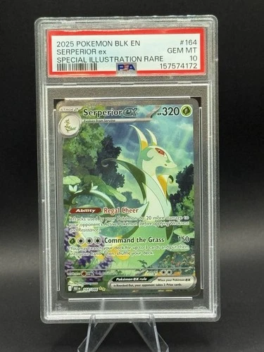 Serperior ex 164/086 Sv: Black Bolt Holo PSA 10 Gem Mint