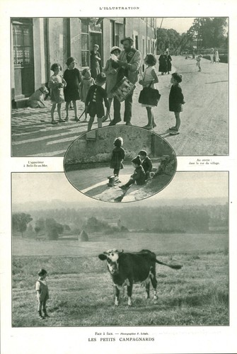 Document ancien impressions premier prix de recto verso 1903 issu de