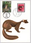 #3899f  WEASEL, NORTHEAST DECIDUOUS FOREST, NAKANO PERFINS, SWITZERLAND FDC CARD