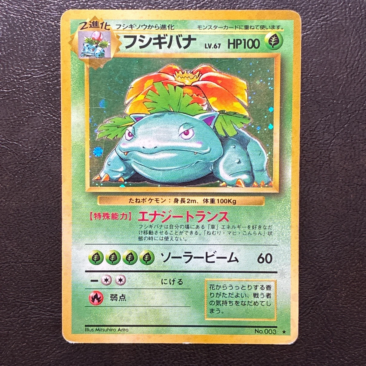 Venusaur Pokmon TCG Holo Rare Base Set Individual Collectible Card Game Cards  for sale | eBay