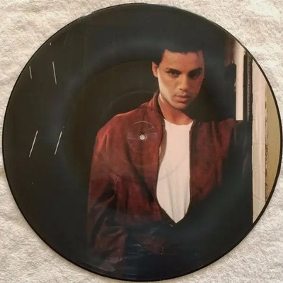 PICTURE DISC Nick Kamen Loving You Is Sweeter Than Ever PICTURE DISC WEA Rec