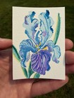 ACEO Original iris flowers, abstract botanical illustration floral 2.5x3.5in — photo 2