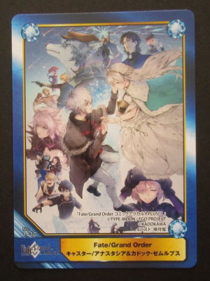 Fate/Grand Order Anastasia Kadoc Zemlupus Animate Book Trading