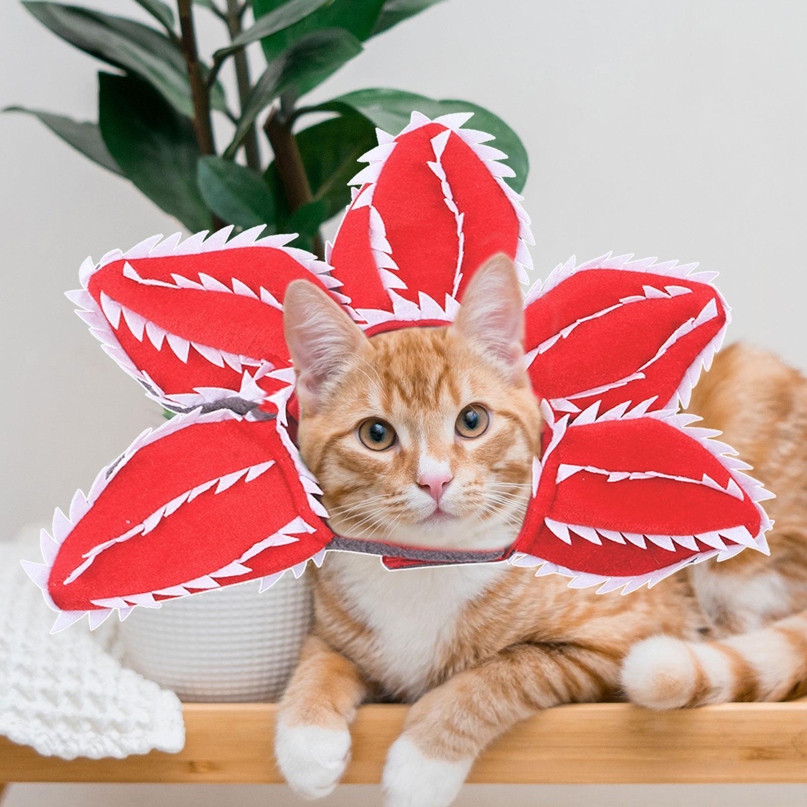 Cat Hat, Cute Cat Dog Costume Hat Pet Hat Party Accessory for Dressing