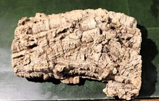 Korkeichenrinde ca. 28 x 19 cm 