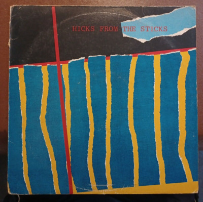 VARIOUS - HICKS FROM THE STICKS VINYL LP 1980