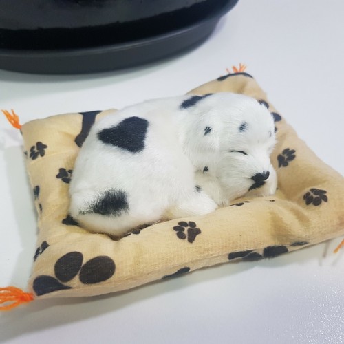 Puppy dog plush figure life-like young sleeping cushion 15cm lifesize white - Picture 6 of 12