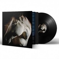 Brother Dege - How To Kill A Horse - Vinyl Record - G3Z