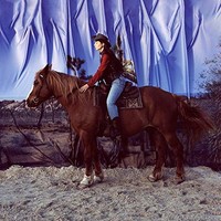 Holy Motors - Horse - Vinyl Record 12 Record - E3447Z