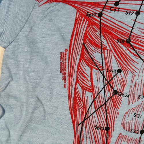Vintage Anatomie Nervensystem Muskel Shirt Small RAR Gesundheit Ernte Akupunktur - Bild 3 von 8