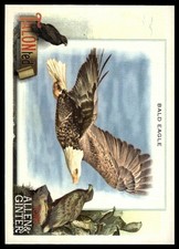2023 Topps Allen & Ginter Bald Eagle #TT-5 Talonted