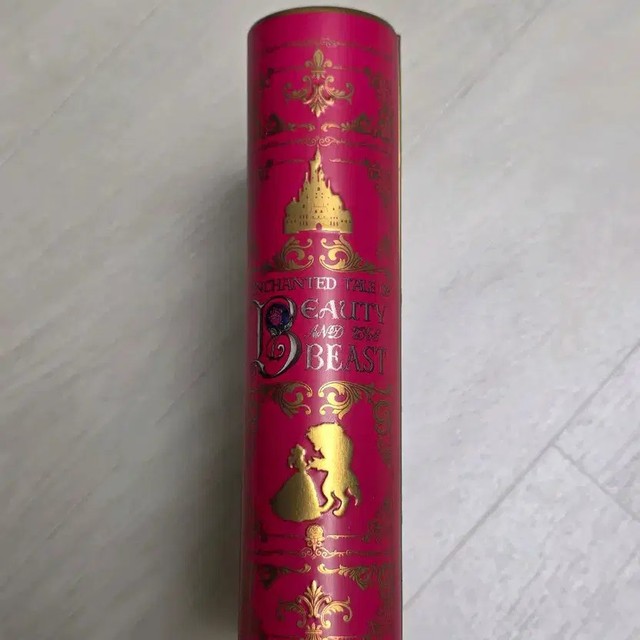 Disneyland Beauty and Beast Tin Case Collectible