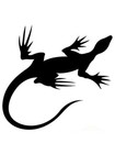 Lizard Wild Big Cat Exotic Animal Stencil Template Reusable for Wall Art, Diy Cr