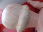 Bild 7 von 10