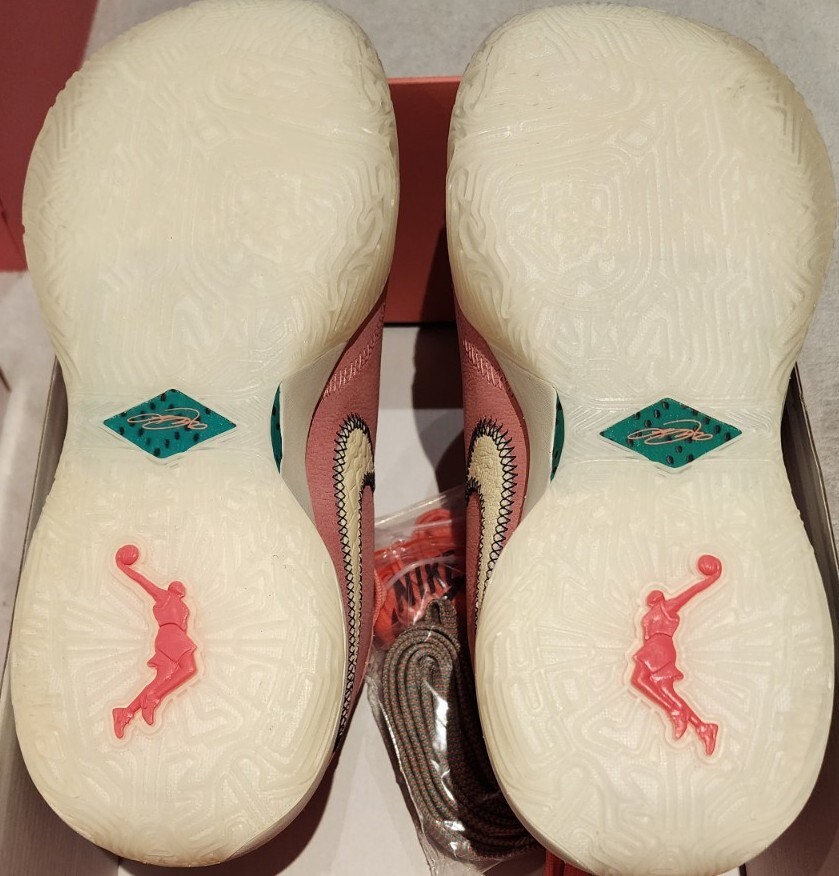 Nike Lebron 20 XX South Beast Pink DQ3828-900 Men's Size 9 | eBay