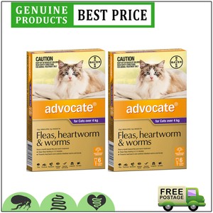 advocate for cats ebay