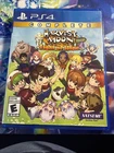 Harvest Moon: A Wonderful Life PlayStation 4