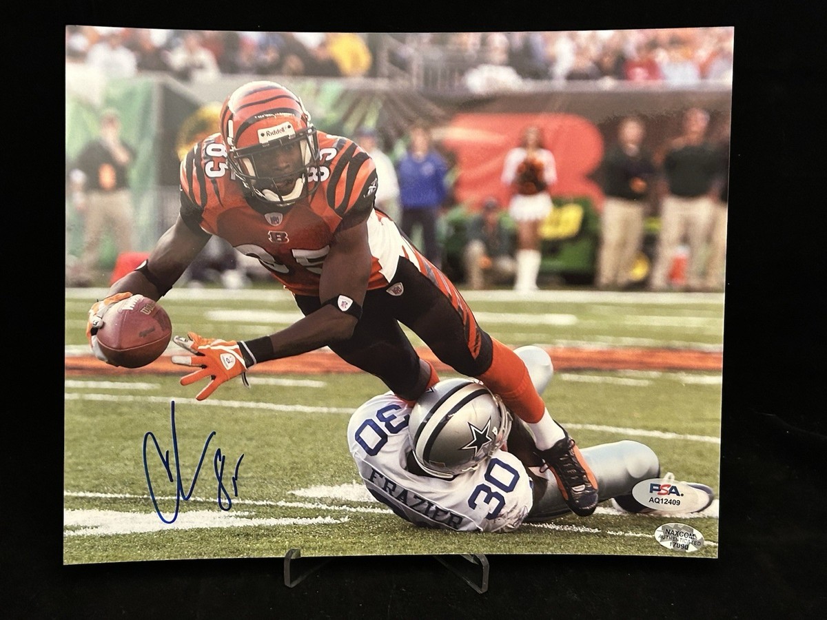 CHAD JOHNSON CINCINNATI BENGALS ACTION SIGNED 8x10 PSA COA | eBay