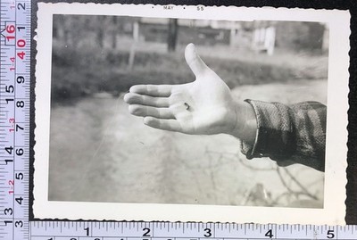 Hand Showing Some Fishing Bait Bug Grub Vintage BW Photo Snapshot