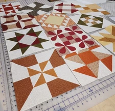 Set Of 12 Completed Quilt Blocks Sampler Patchwork 1990s B1