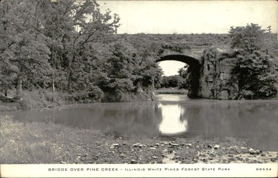 Postcard: BRIDGE OVER PINE CREEK ILLINOIS WHITE PINES FOREST