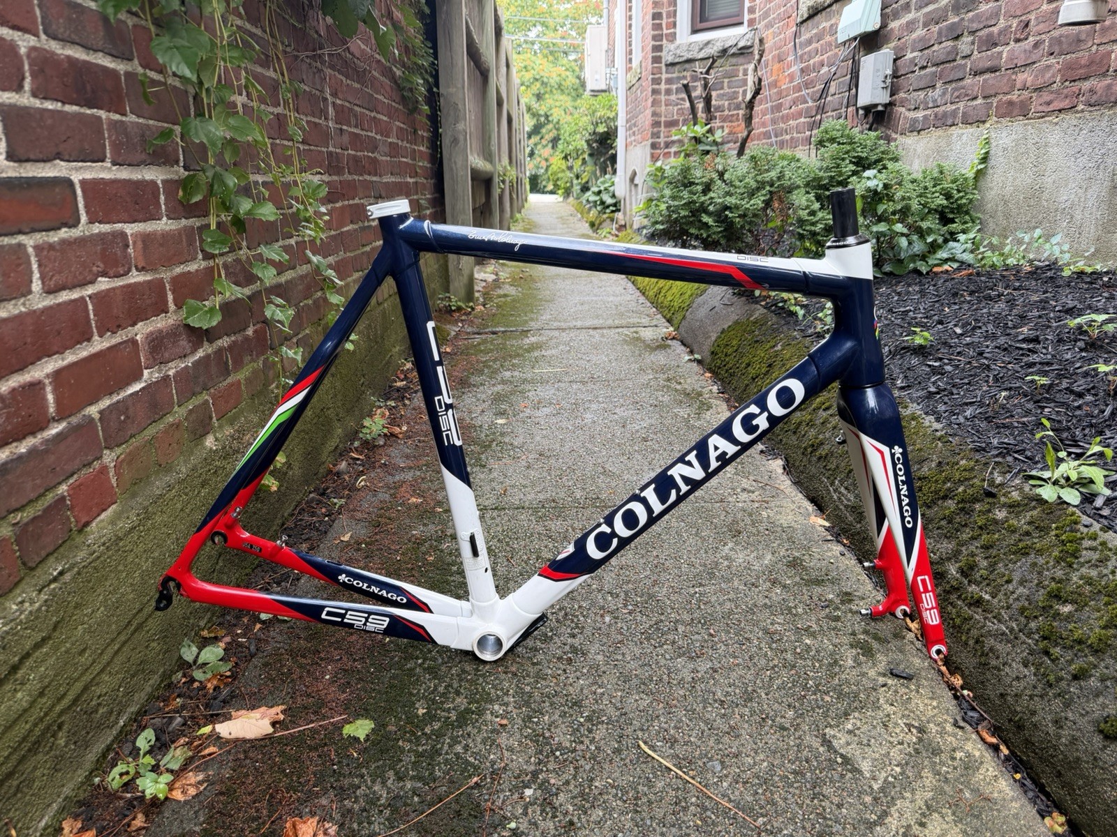 Colnago C59 Team Disc carbon frameset traditional geometry seatpost saddle