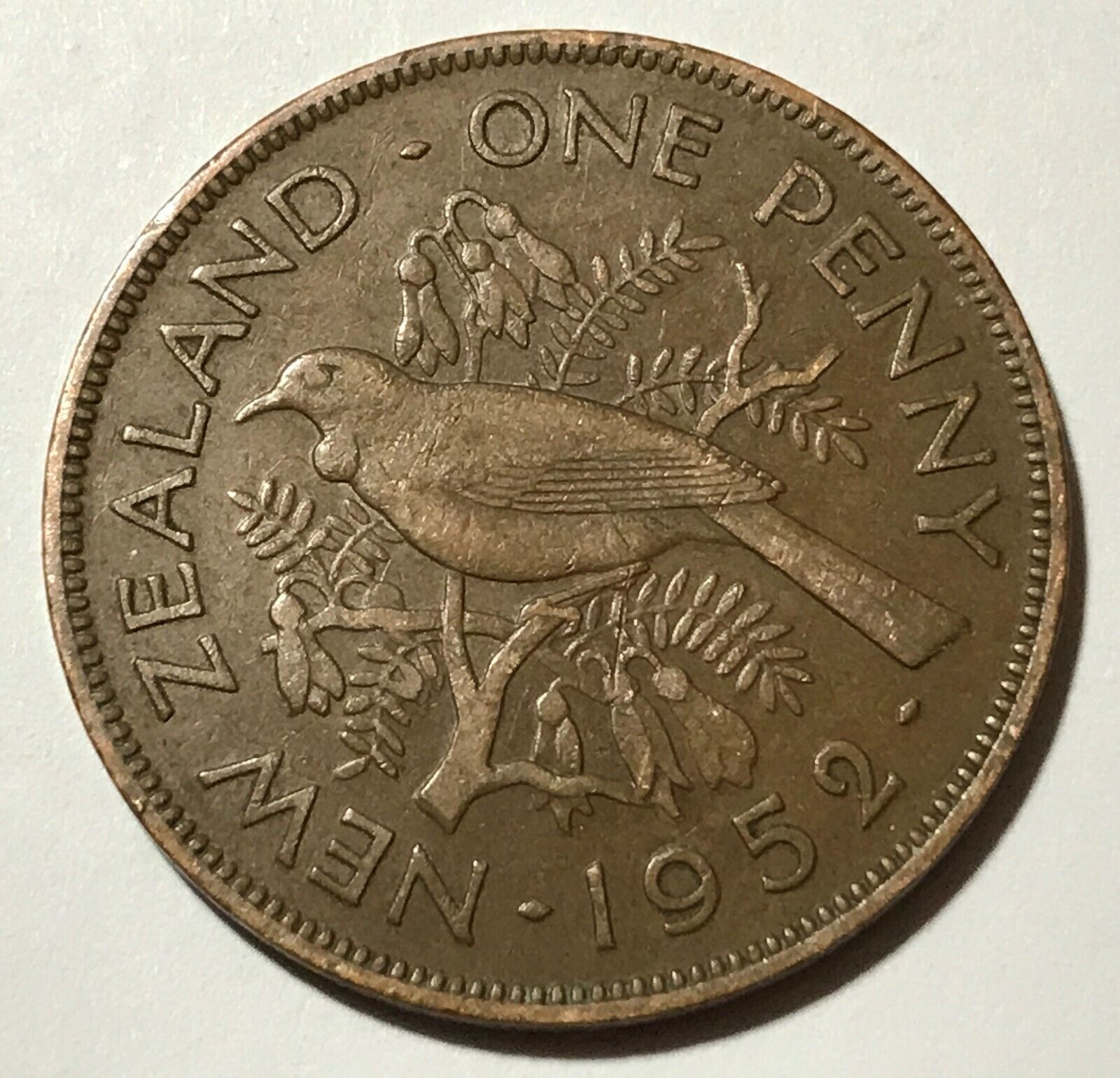 New Zealand 1 penny, Tui bird, animal wildlife coin
