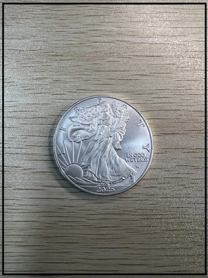 #ad #ad 2025 $1 American Silver Eagle Coin 1 oz BU US Brilliant Uncirculated $79.98