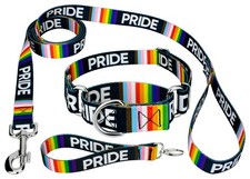 Country Brook Petz  Pride Martingale Dog Collar and Leash