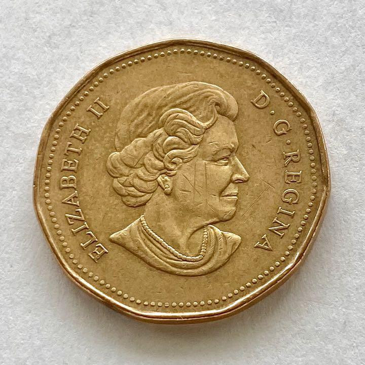 Canada 2006 Lucky Rooney Olympic Commemorative Coin / 5 | eBay