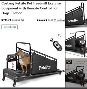 PETSITE Dog Treadmill Pet Running Machine for Small Medium Dogs