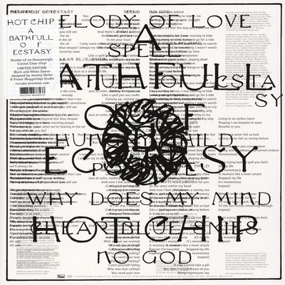 Hot Chip A Bath Full of Ecstasy (Vinyl)
