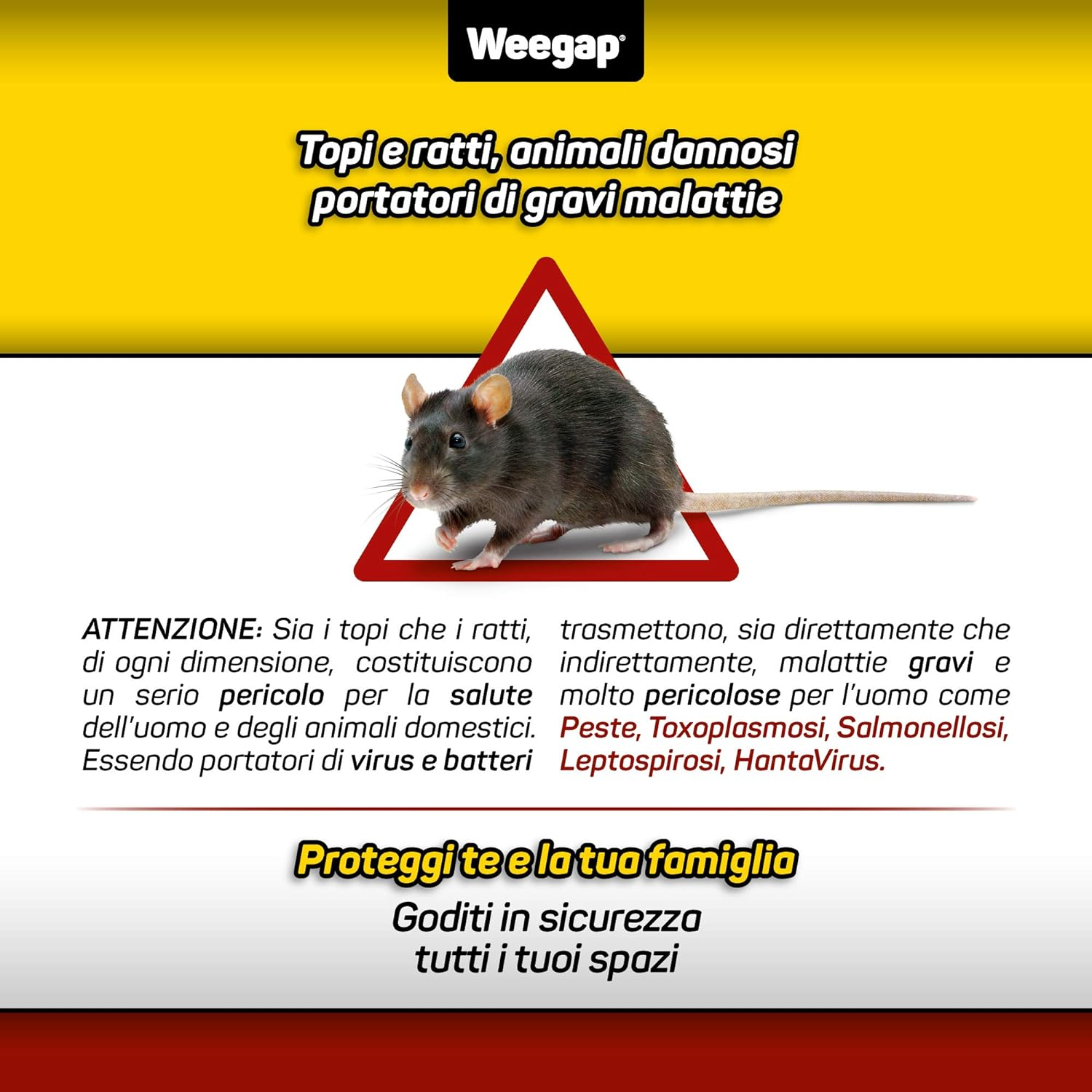Foto 9 di 12