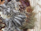 Bild 4 von 16