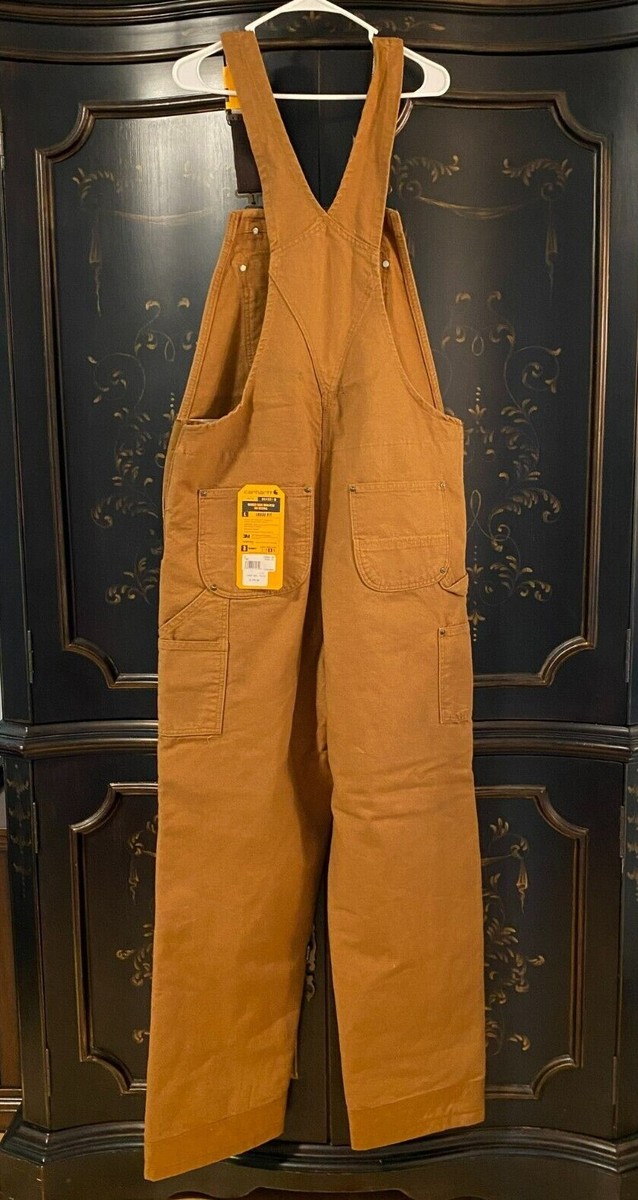 ⭐︎ $130 carhartt INSULATED BIB OVERALL | Loose Fit | 3 Warmest