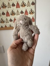 Bashful Rose Bunny - Tiny Jellycat | Jelly Journal