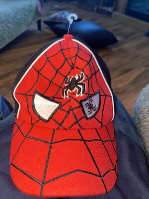 Spider-Man hat